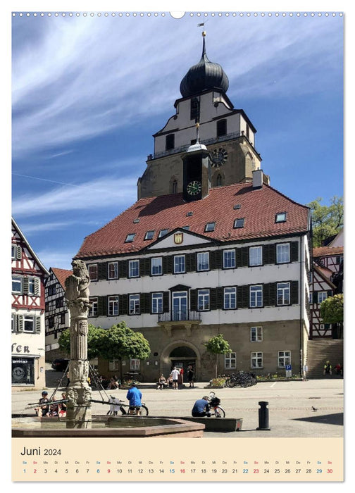 Herrenberg im Fokus (CALVENDO Wandkalender 2024)