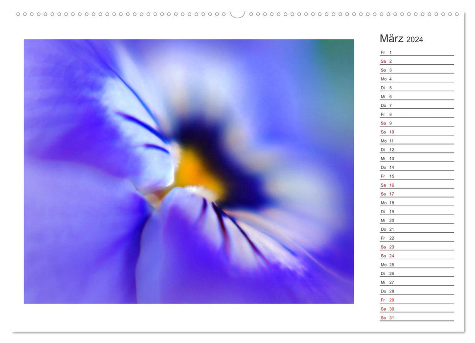DEEP INSIDE - Blütenmakros als Monatsplaner (CALVENDO Premium Wandkalender 2024)