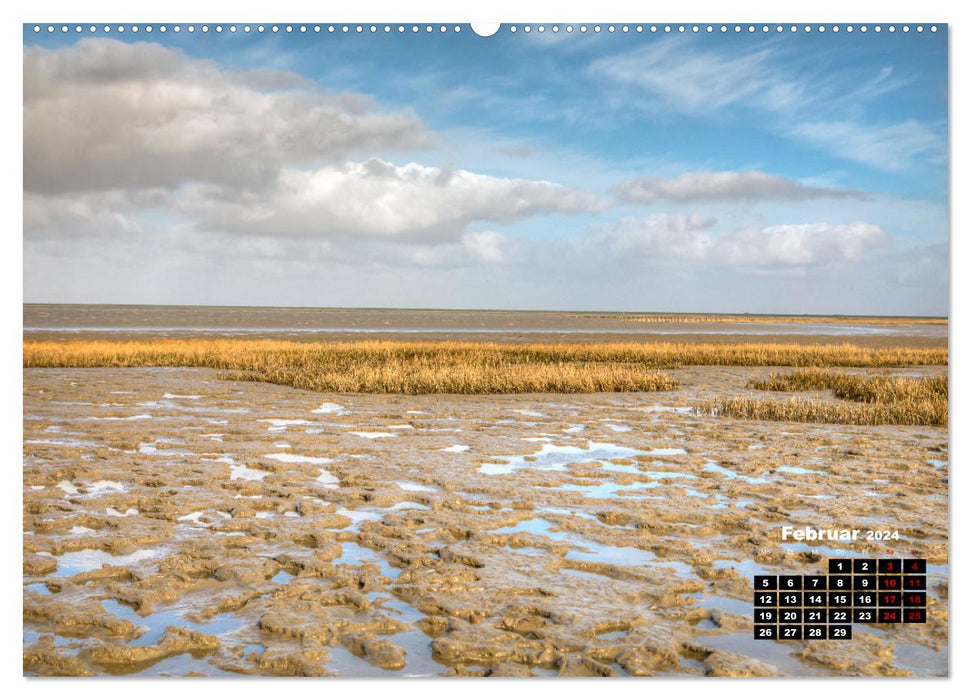 Nordfriesland und die Nordseeküste (CALVENDO Wandkalender 2024)