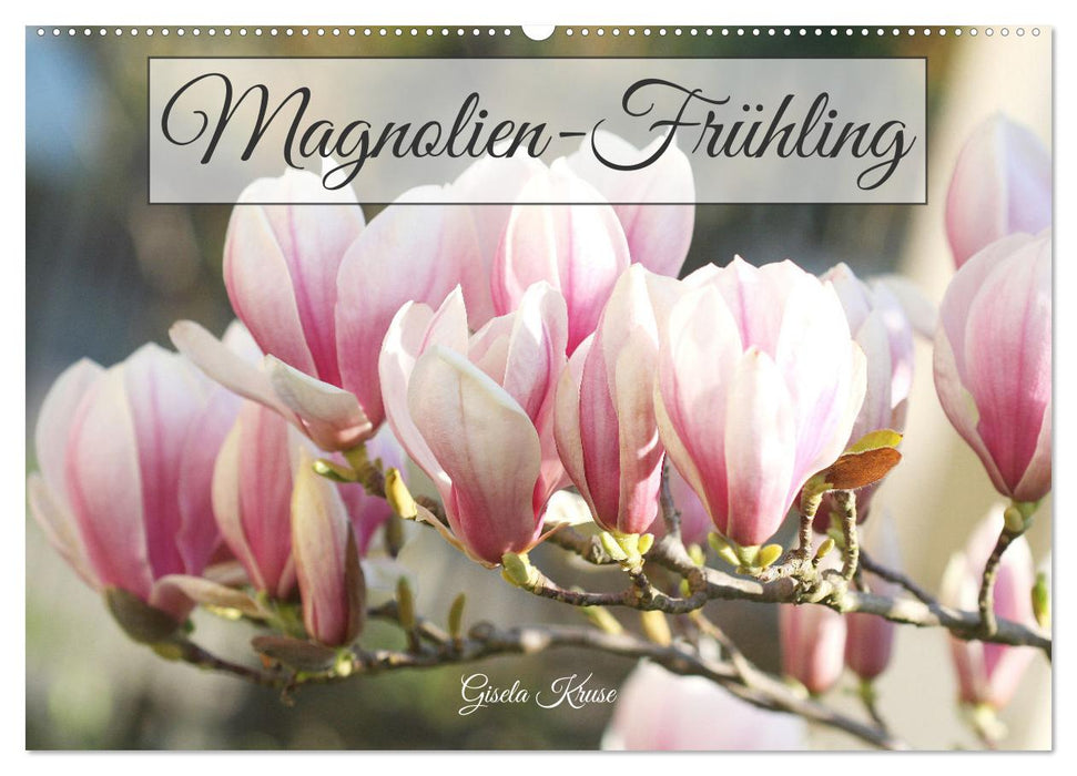 Magnolien-Frühling (CALVENDO Wandkalender 2024)