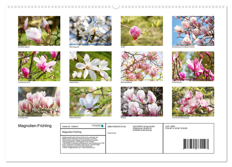 Magnolien-Frühling (CALVENDO Wandkalender 2024)