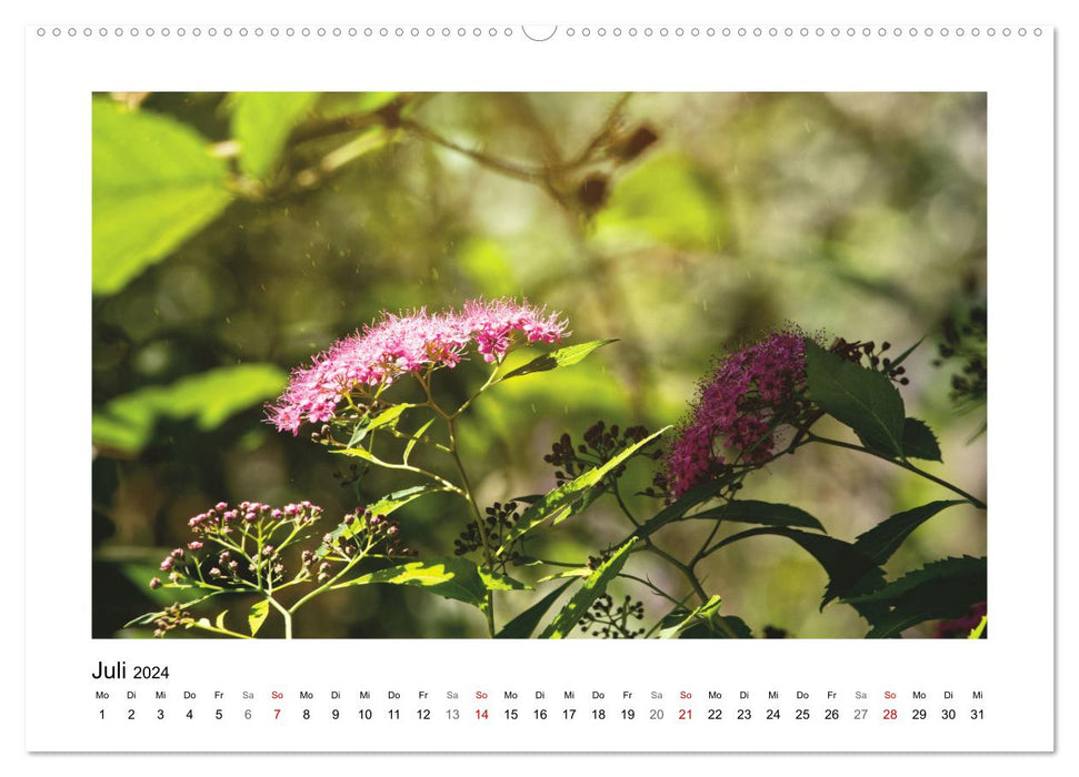 Mein Sehnsuchtsort, der Garten (CALVENDO Premium Wandkalender 2024)
