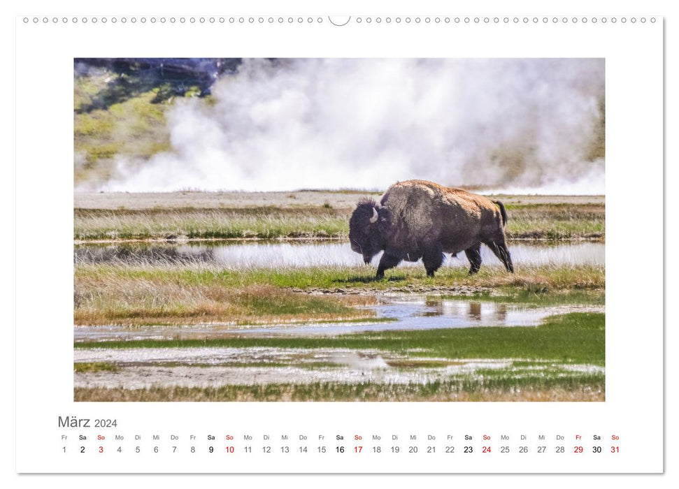 Yellowstone und der Grand Teton Nationalpark - unterwegs mit Julia Hahn (CALVENDO Wandkalender 2024)