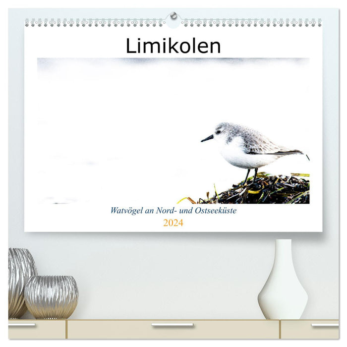 Limikolen - Watvögel an Nord- und Ostseeküste (CALVENDO Premium Wandkalender 2024)