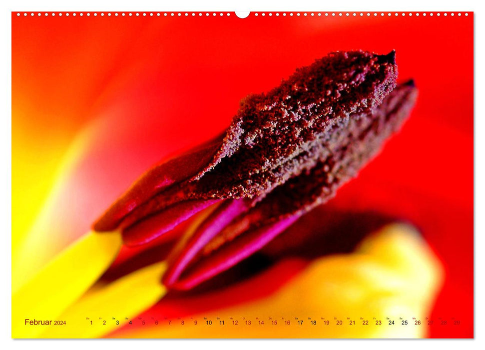 DEEP INSIDE - Blütenmakros (CALVENDO Premium Wandkalender 2024)