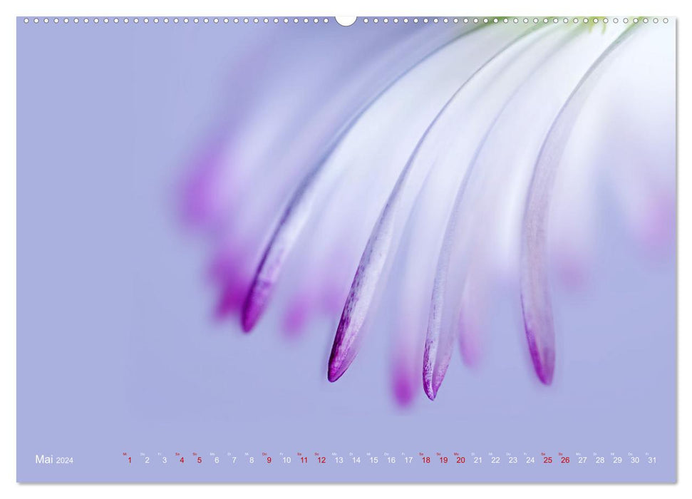 DEEP INSIDE - Blütenmakros (CALVENDO Premium Wandkalender 2024)
