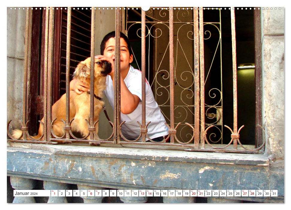 Tier-Kinder in Kuba - Begegnungen in Havanna (CALVENDO Premium Wandkalender 2024)
