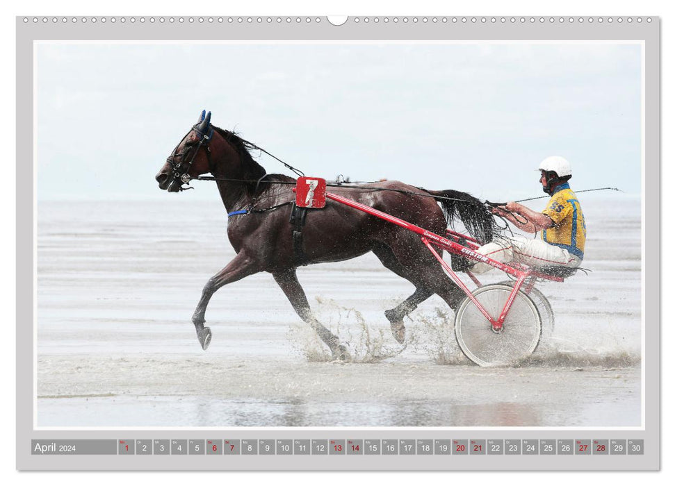 Pferde-Rennen auf Schnee und im Wasser (CALVENDO Wandkalender 2024)
