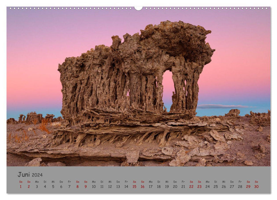 Versteinerte Landschaft (CALVENDO Premium Wandkalender 2024)