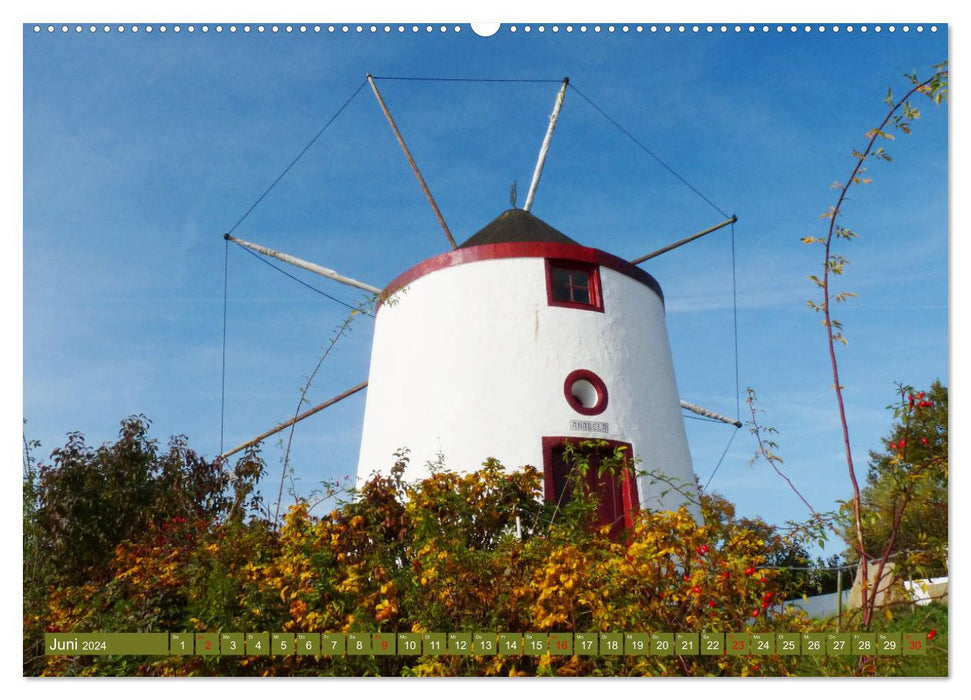 Gifhorn - Kleine Reise durch die Welt der Mühlen (CALVENDO Premium Wandkalender 2024)