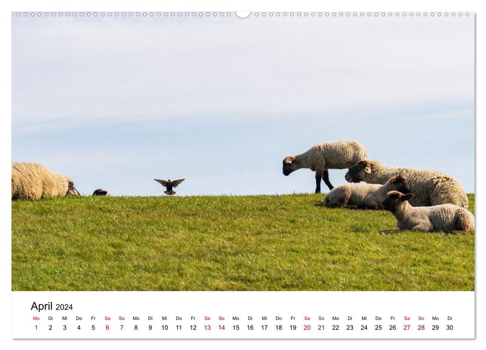 Ostfriesland - Ein Jahr in Bildern (CALVENDO Wandkalender 2024)