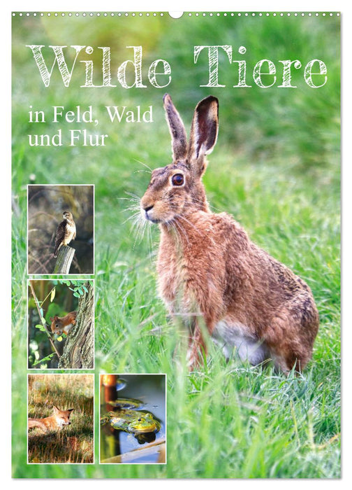 Wilde Tiere in Feld, Wald und Flur (CALVENDO Wandkalender 2024)