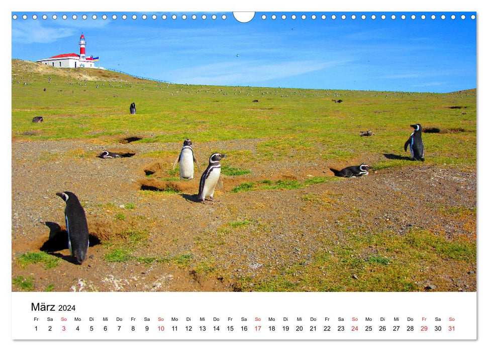 Patagonien - Atemberaubende Landschaften am Ende der Welt (CALVENDO Wandkalender 2024)