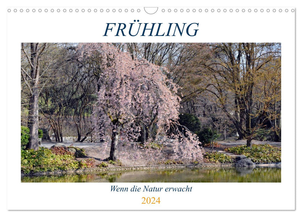 Frühling - Wenn die Natur erwacht (CALVENDO Wandkalender 2024)