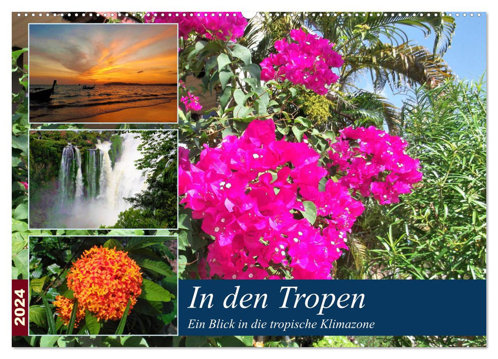 In den Tropen - Ein Blick in die tropische Klimazone (CALVENDO Wandkalender 2024)