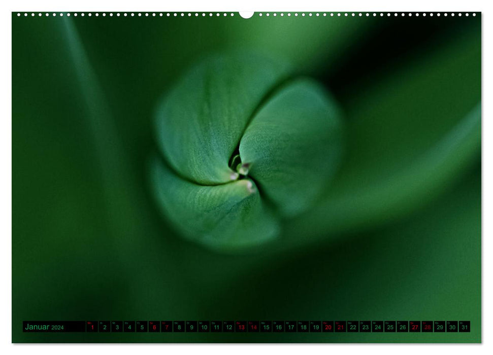 green nature details - Makrofotografien aus der grünen Welt der Pflanzen (CALVENDO Wandkalender 2024)