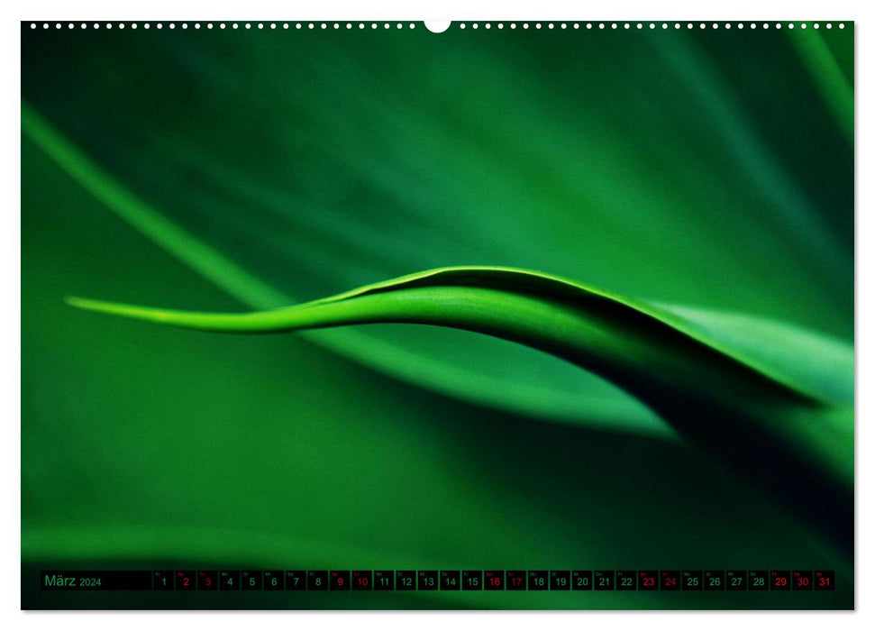 green nature details - Makrofotografien aus der grünen Welt der Pflanzen (CALVENDO Wandkalender 2024)