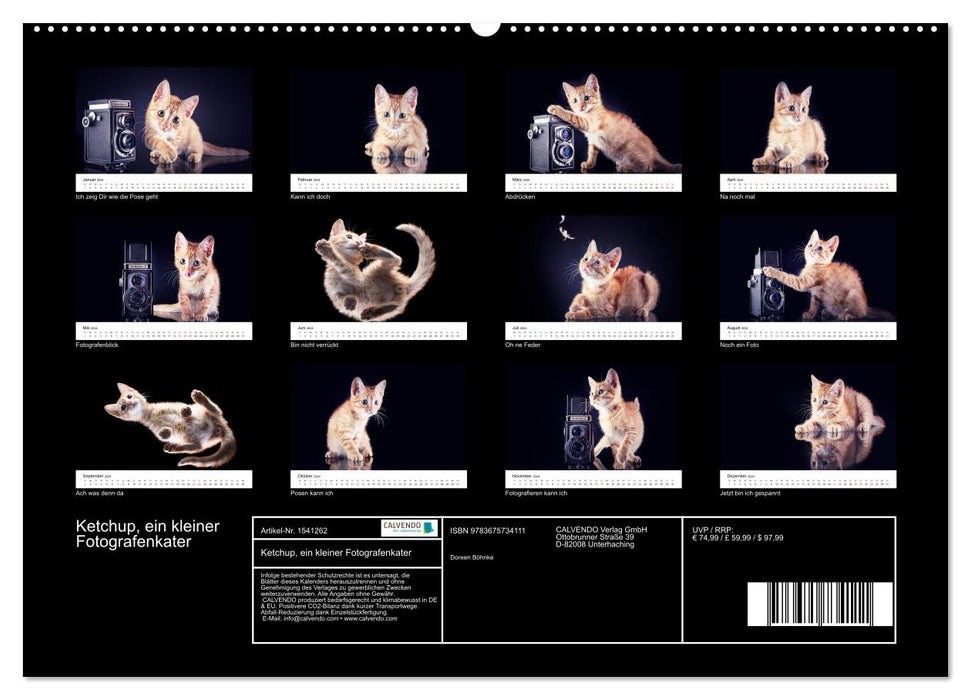 Ketchup, un petit chat photographe (Calendrier mural CALVENDO Premium 2024) 