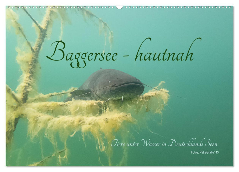 Baggersee -hautah (CALVENDO Wandkalender 2024)