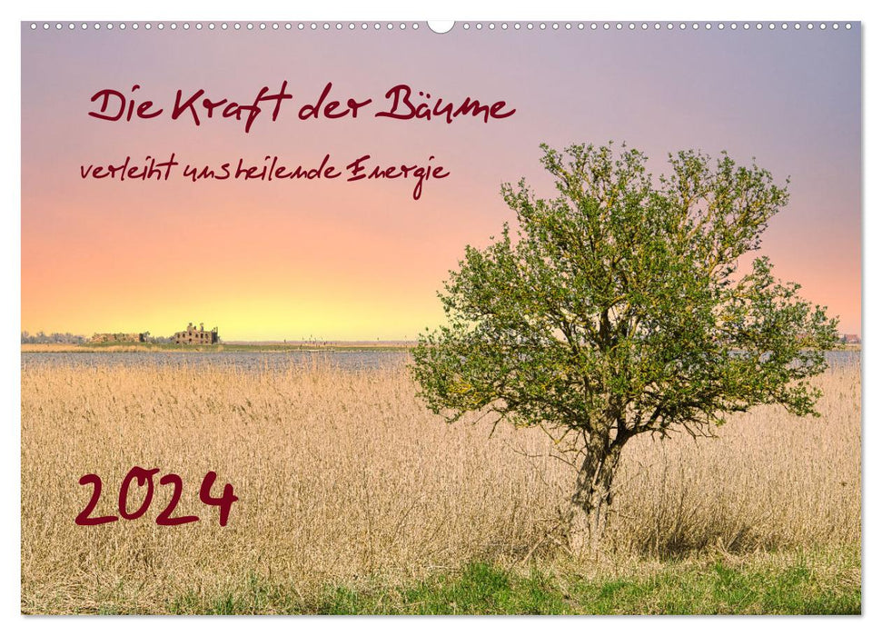 Die Kraft der Bäume (CALVENDO Wandkalender 2024)