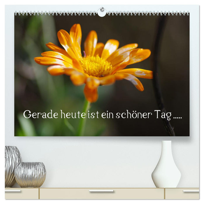 Gerade heute ist ein schöner Tag ..... (CALVENDO Premium Wandkalender 2024)