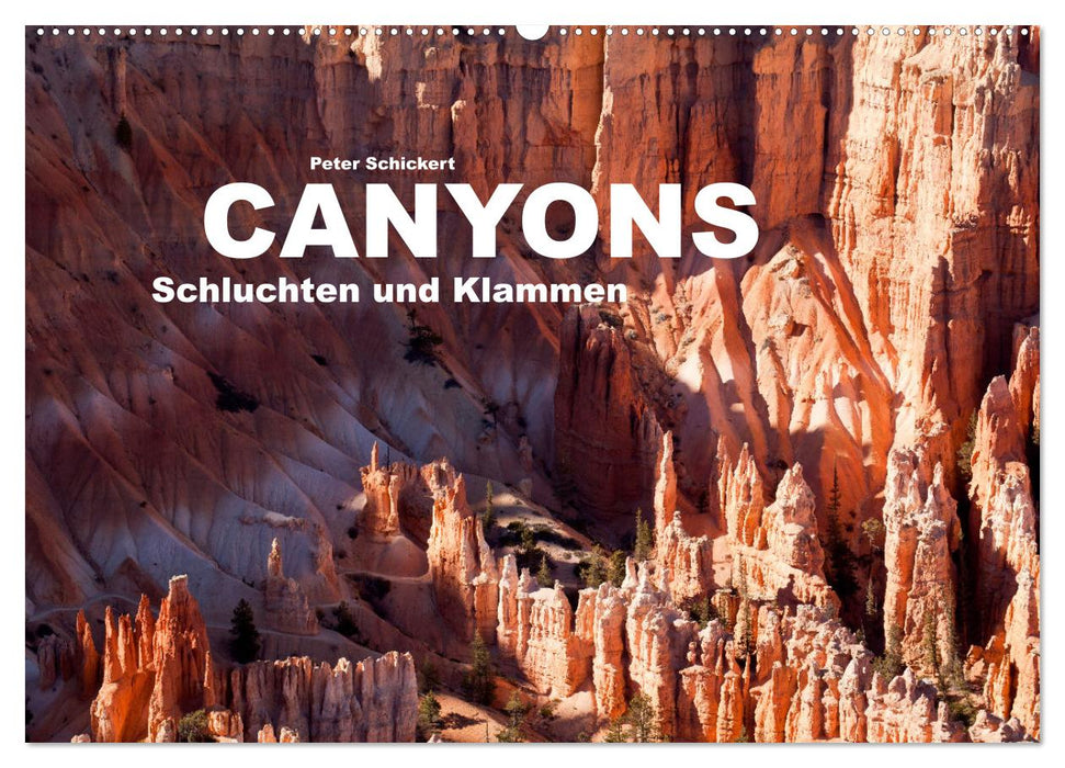 Canyons, gorges et gorges (Calendrier mural CALVENDO 2024) 