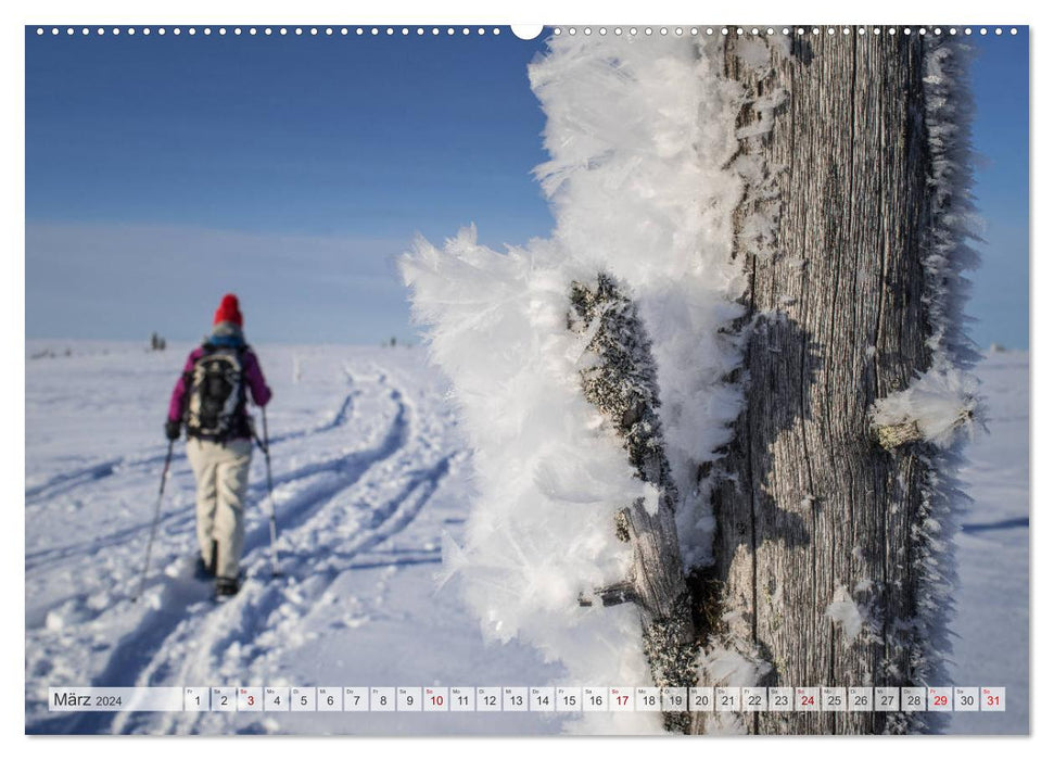 Lappland - Winterwandern Impressionen (CALVENDO Premium Wandkalender 2024)