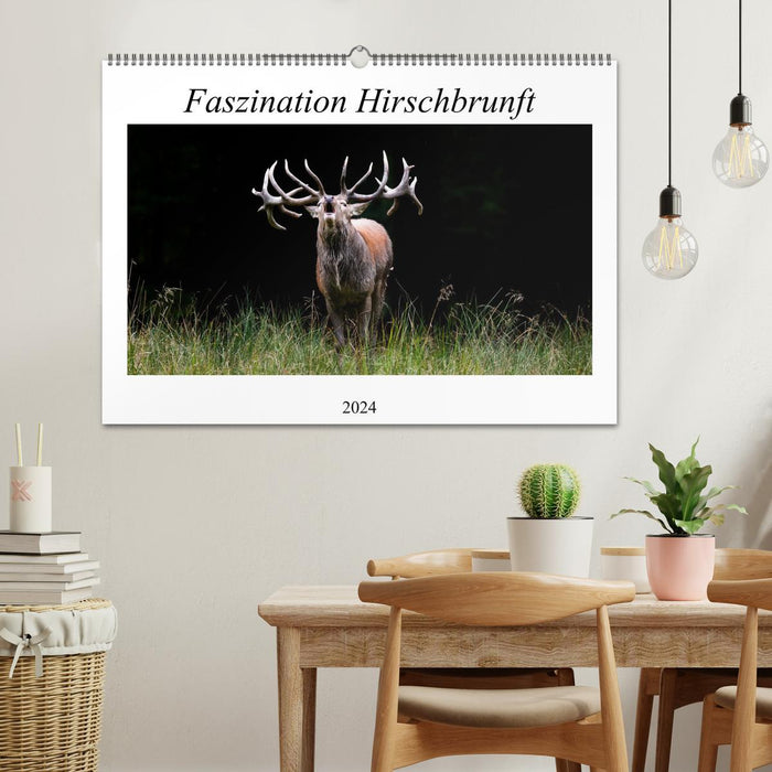 Fascination du rut des cerfs (Calendrier mural CALVENDO 2024) 