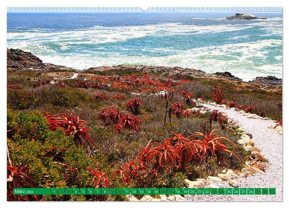 Unterwegs in Südafrika- von Kapstadt ins Richtersveld (CALVENDO Premium Wandkalender 2024)