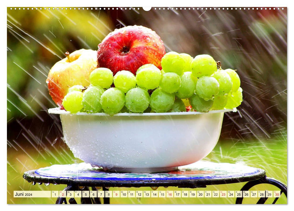 Le plaisir du raisin. Raisins aromatiques et raisins de table sucrés (calendrier mural CALVENDO 2024) 
