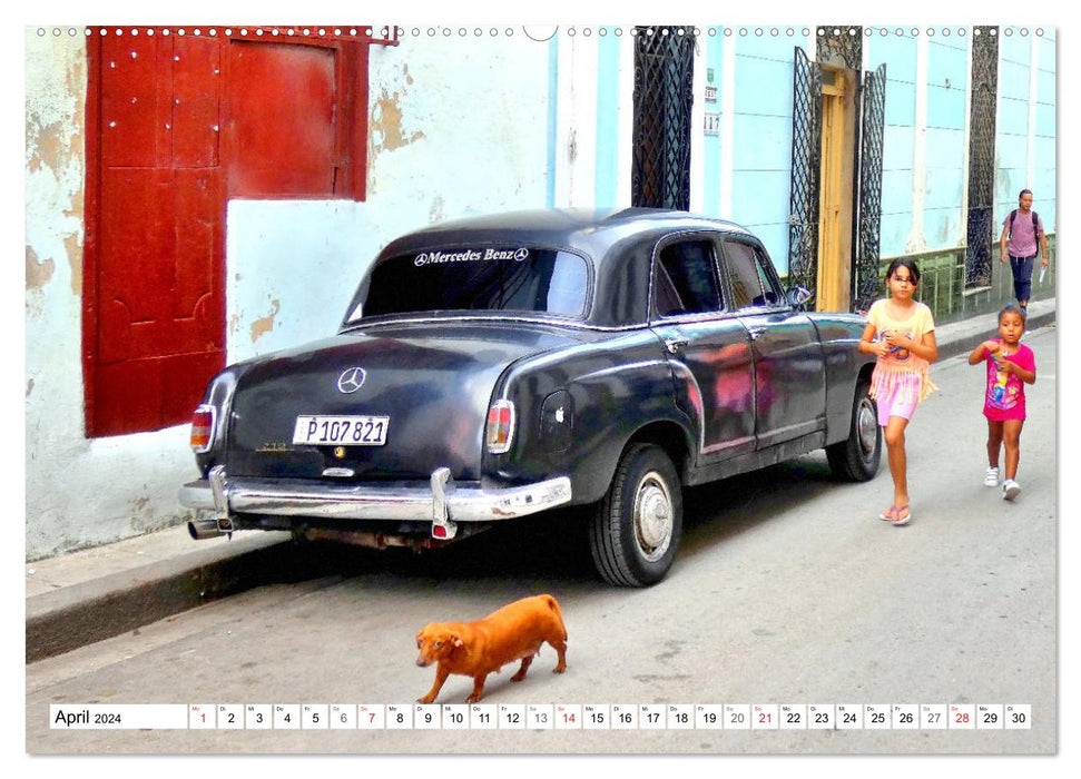 Mercedes-Benz Typ 180 - Ein deutscher Klassiker in Kuba (CALVENDO Premium Wandkalender 2024)