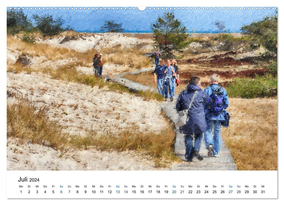 Landscapes on the Darß in oil colors (CALVENDO Premium Wall Calendar 2024) 