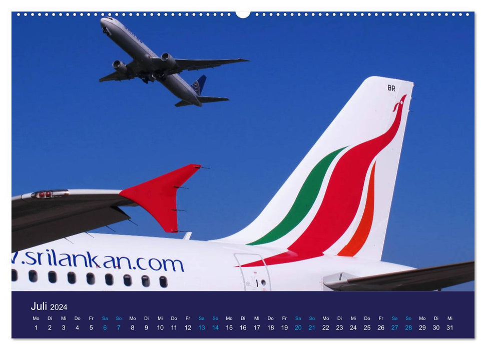 Perspectives aéronautiques rares (Calvendo Premium Wall Calendar 2024) 