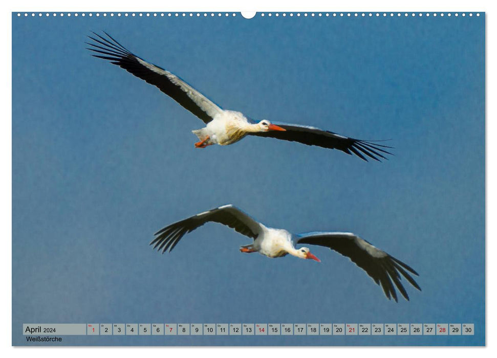 Couple flight (CALVENDO wall calendar 2024) 