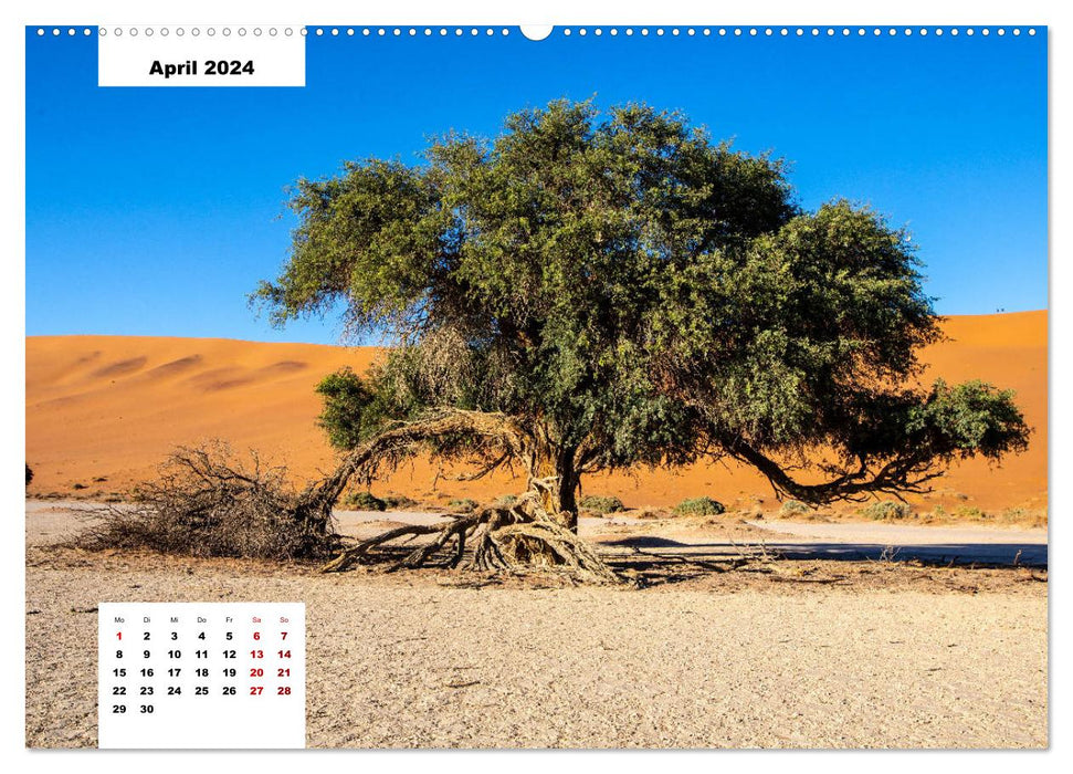 Magische Wüste - Die Namib (CALVENDO Premium Wandkalender 2024)