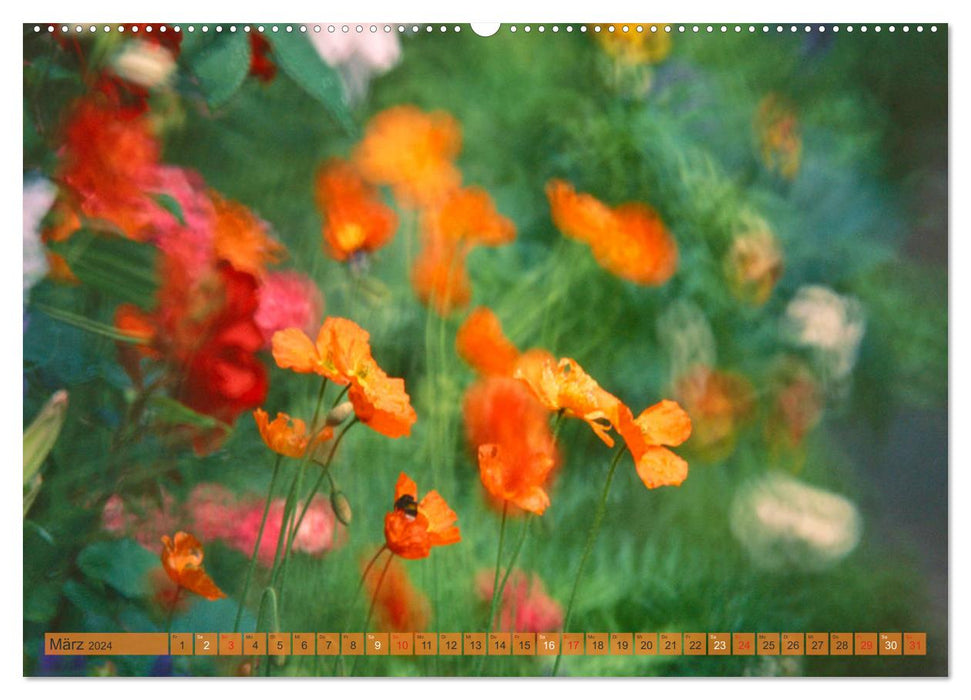 dreamy wild flowers (CALVENDO wall calendar 2024) 