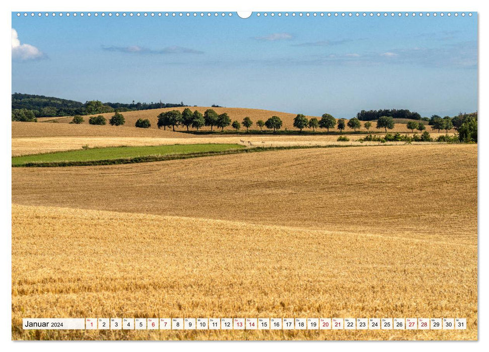 Danemark - Île de Mön (Calvendo Premium Calendrier mural 2024) 