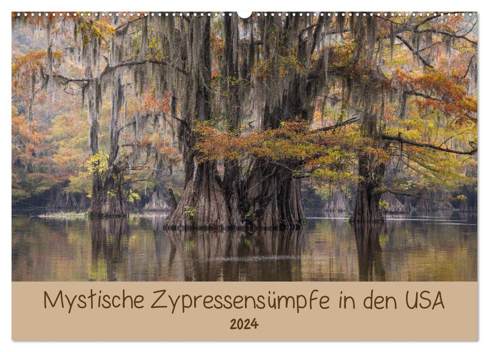 Mystische Zypressensümpfe (CALVENDO Wandkalender 2024)