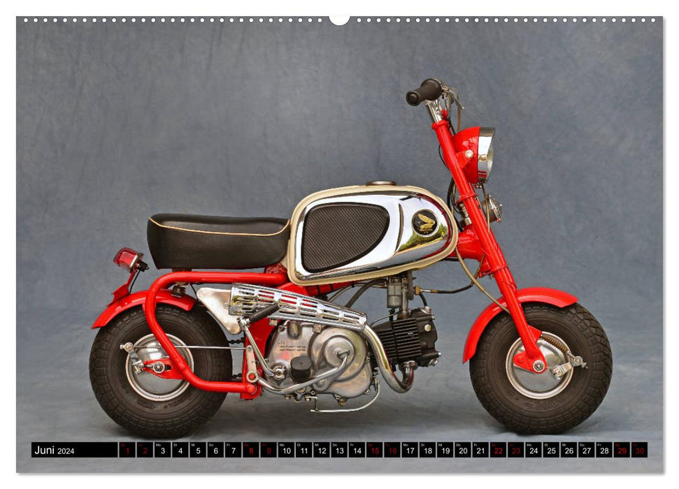 Bonsai Mopeds (CALVENDO Premium Wall Calendar 2024) 
