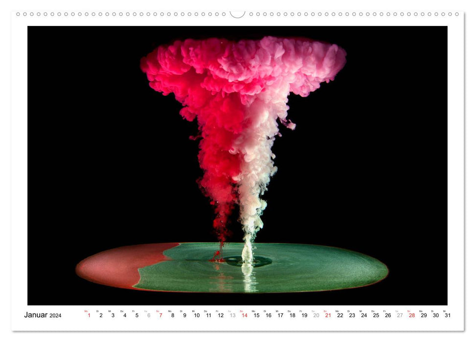 Farbexplosionen (CALVENDO Premium Wandkalender 2024)