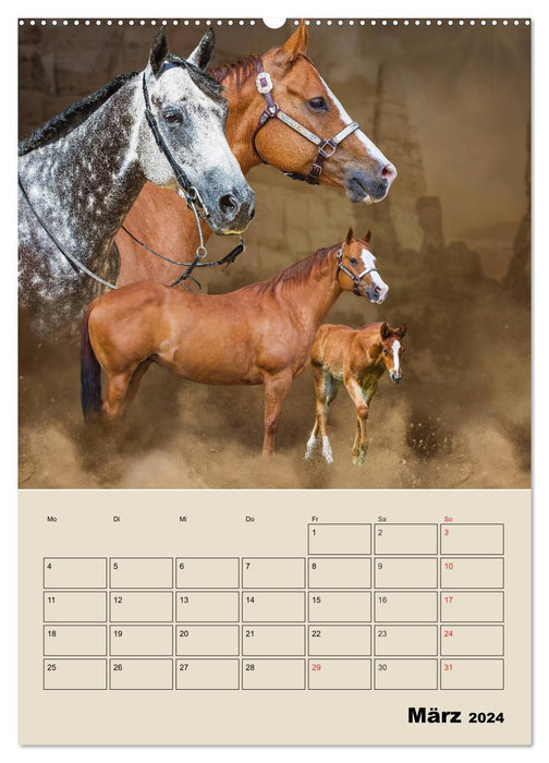 Pferdeträumereien - Traumbilder von Traumpferden (CALVENDO Premium Wandkalender 2024)