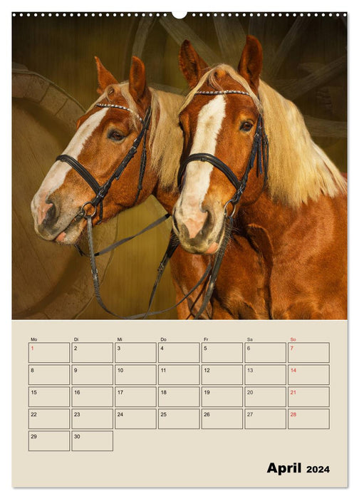 Pferdeträumereien - Traumbilder von Traumpferden (CALVENDO Premium Wandkalender 2024)