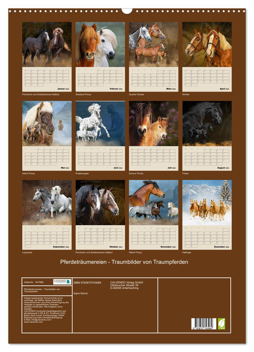Pferdeträumereien - Traumbilder von Traumpferden (CALVENDO Wandkalender 2024)