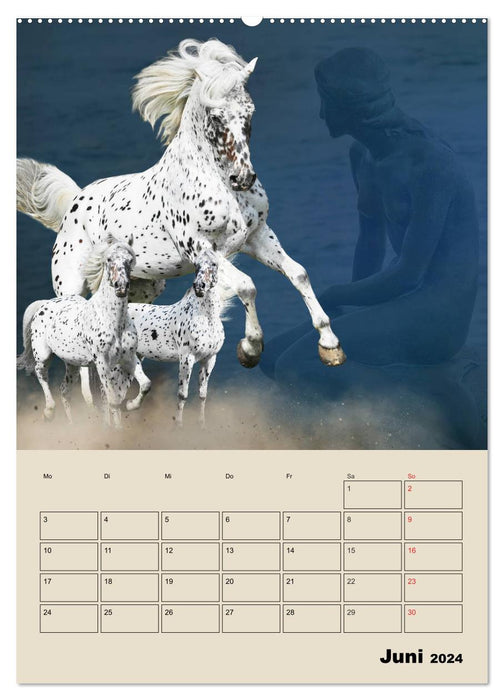 Pferdeträumereien - Traumbilder von Traumpferden (CALVENDO Wandkalender 2024)