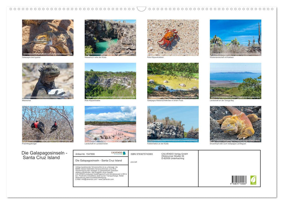 Die Galapagosinseln - Santa Cruz Island (CALVENDO Wandkalender 2024)