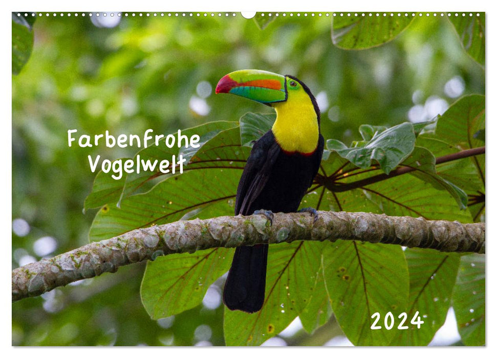 Farbenfrohe Vogelwelt (CALVENDO Wandkalender 2024)