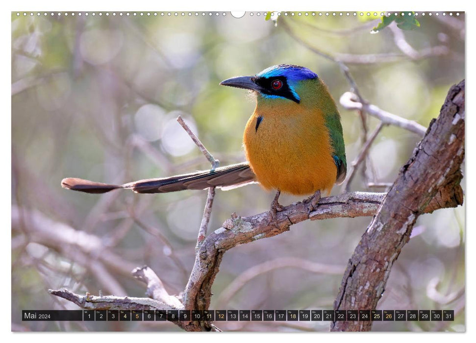 Tiere im Pantanal - viaje.ch (CALVENDO Premium Wandkalender 2024)