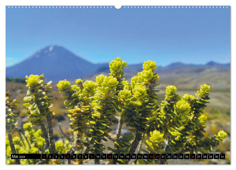 Tongariro-Nationalpark (CALVENDO Premium Wandkalender 2024)