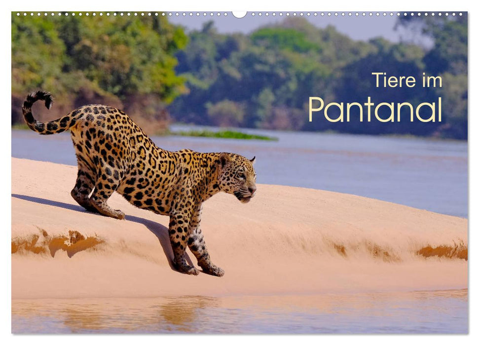 Tiere im Pantanal - viaje.ch (CALVENDO Wandkalender 2024)