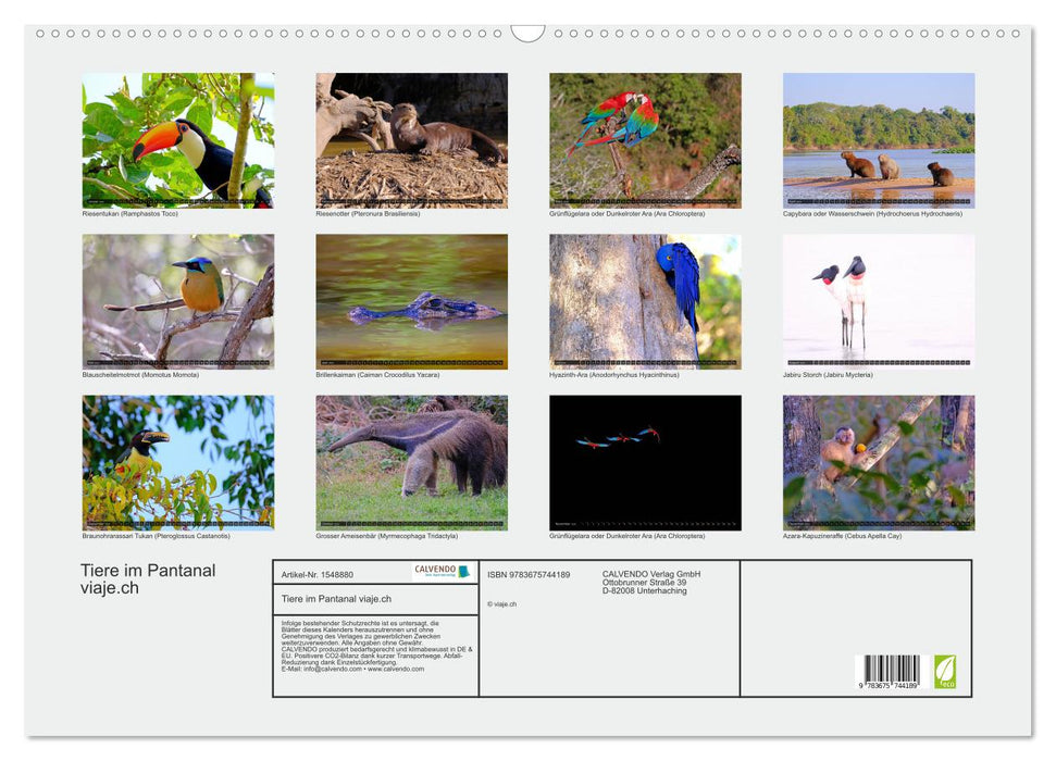 Tiere im Pantanal - viaje.ch (CALVENDO Wandkalender 2024)